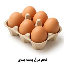 تخم مرع رسمي 12