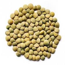 عدس خارجي خشکدانه آذر 900 گرمي