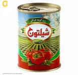 رب شيلتون