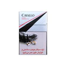 سيگار کاوالو مدل Nano Magnetic